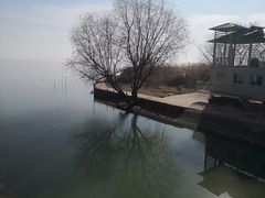 -贡湖湾湿地公园