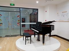 -珠江钢琴艺术中心(文一路店)