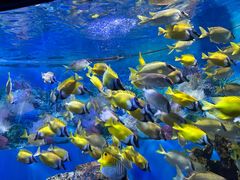 -海合安成都极地海洋公园