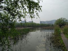 -长兴太湖图影湿地文化园