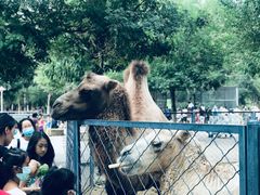 -长白岛森林公园