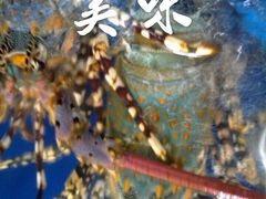 android_upload_pic-海鲜城大家餐厅