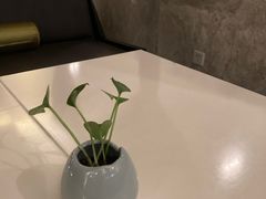 -天津东凯悦酒店·大堂吧
