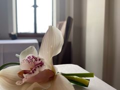 -上海和平饭店华懋阁 Cathay Room