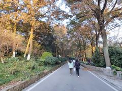 -上海市保健医疗中心