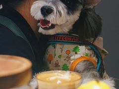 -Punchline Coffee&Roaster(同济大学店)