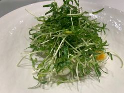 -东庭海鲜酒店(世茂广场店)