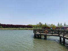 -营地公园·团建拓展·亲子户外(奉贤店)