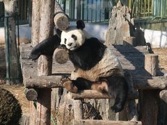 -大连森林动物园