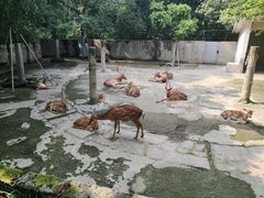 -成都动物园