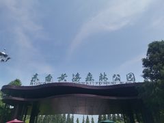 -黄海国家森林公园