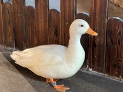 -昆明大悦城未来动物城(螺蛳湾中心店)