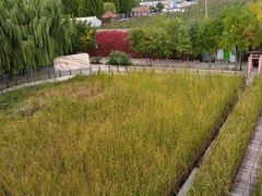 -河北村民俗体验园