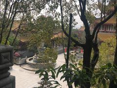 -仙岳公园