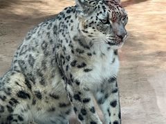 -青藏高原野生动物园