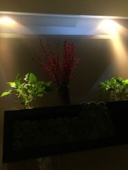 -史云逊养发护发