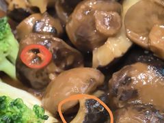 -有心德(麦地店)