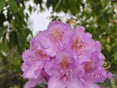 -名花谷生态庄园