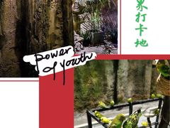 -zoonana室内动物园(东方福来德店)