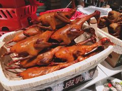 -鸽子侯·家宴·平价海鲜(市图书馆店)