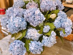 -卓花境Flowerwonderland花店