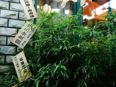 -慢丽江·云南野生菌土鸡锅(付家庄店)