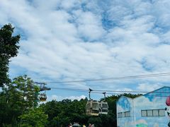 -广州长隆野生动物世界