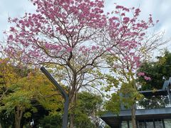 -深圳湾公园(南山区)