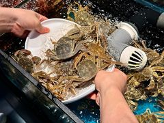 -苏格里岛自助烤肉海鲜火锅(成都金牛万达店)