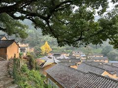 -杨家堂村