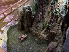 -金沐汤泉
