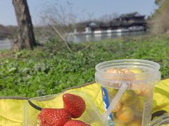-上海海湾国家森林公园