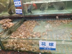 -新海利海鲜城·41年珠海老字号(夏湾店)