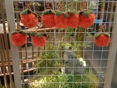 -绿茶餐厅(滨海万达广场店)