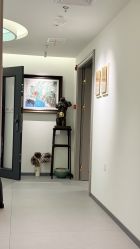 点击看大图 -诗碧曼·头疗养发馆