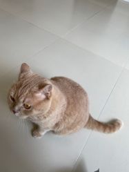 -雪儿·YuKi美甲美睫皮肤管理Salon