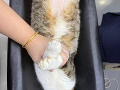 -拜鲁耶动物诊疗中心·宠家动物医院