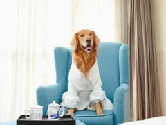 -上海华帆旗开比亚迪4S店(浦东北路店)