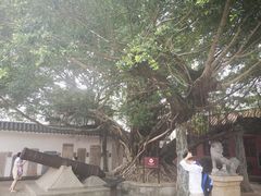 -闽粤南澳总镇府