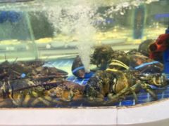 -大众海鲜(巨龙北路店)