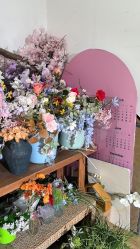 -金太阳儿童摄影(白马华庭店)