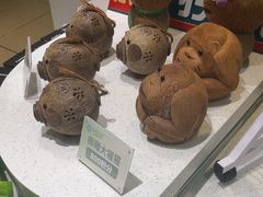 -春润大地海南椰子鸡(沙井京基百纳广场店)