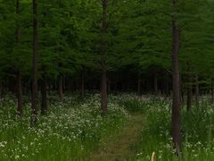 -嘉北郊野公园