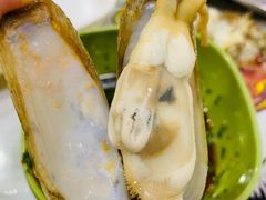 -大连海鲜斑鱼火锅(安平店)