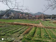 -红山村