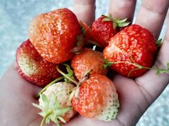 -沙力海西北特色美食烤肉店(北门坡店)