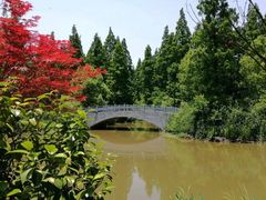 -东平国家森林公园