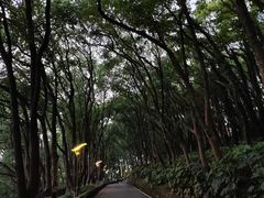 -上海市保健医疗中心