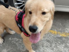 -欢唱KTV(映月湖环宇城店)