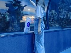 -乐从天佑城海洋馆